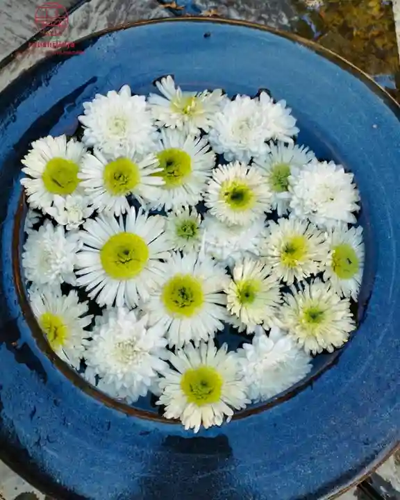 立志神社の手水舎