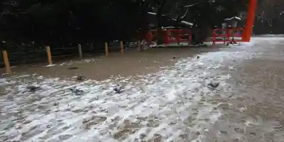 賀茂御祖神社（下鴨神社）(京都府)