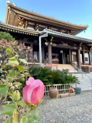 浄土宗南命山善光寺(東京都)