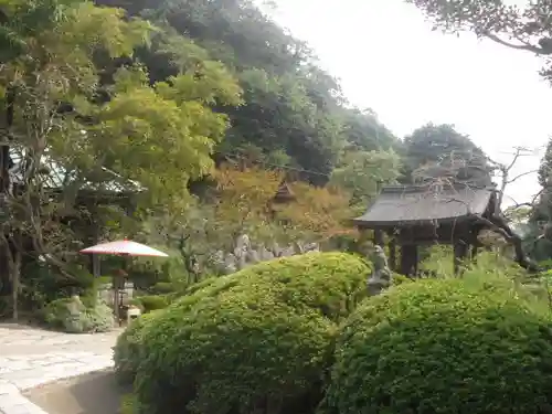 海蔵寺の庭園