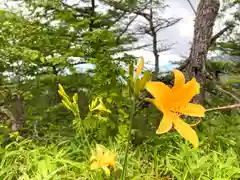 高峯神社(大室神社奥宮)の自然