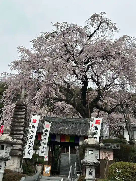林陽寺(岐阜県)