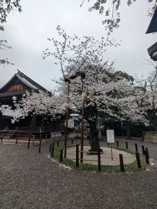 靖國神社(東京都)