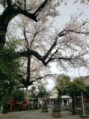 本郷氷川神社(東京都)