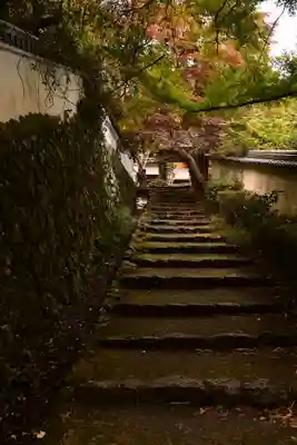 勝持寺（花の寺）(京都府)