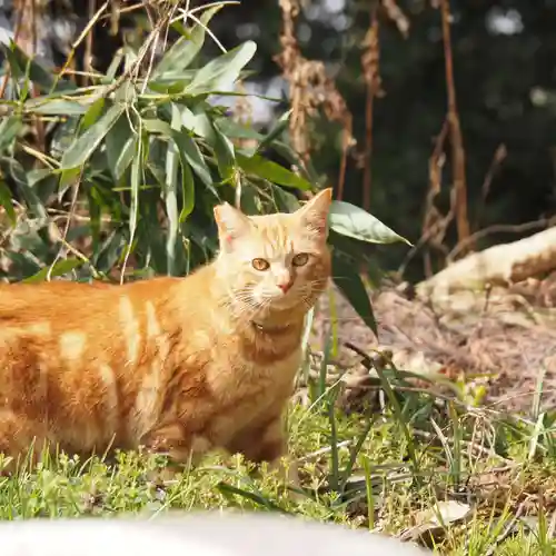 天王山 安楽寺(福井県)