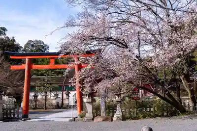 吉田神社(京都府)