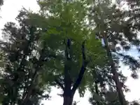 大宮温泉神社(栃木県)