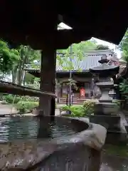 妙法寺の手水