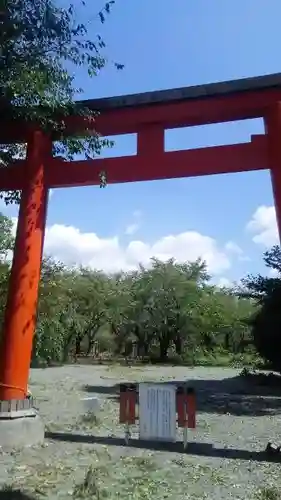 平野神社の鳥居