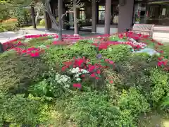 金剛院(東京都)