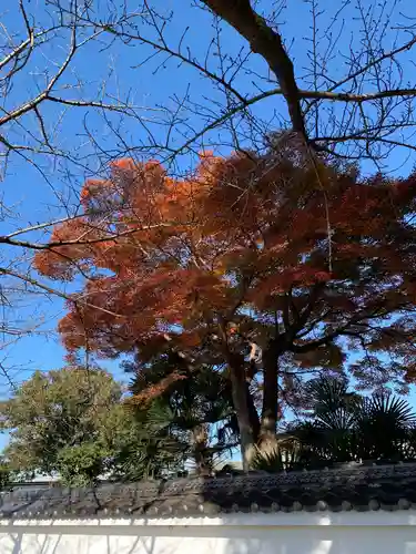 彌都加伎神社の自然