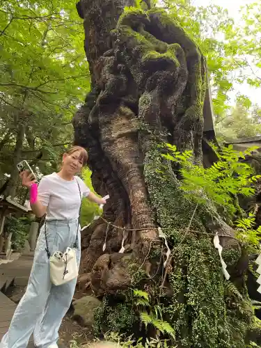 來宮神社(静岡県)