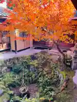 興聖寺(京都府)