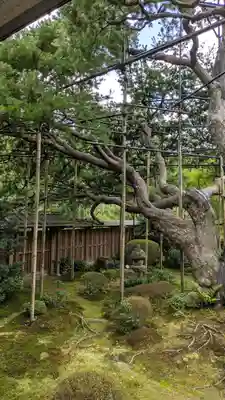宝泉院(京都府)