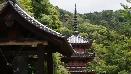 三室戸寺の塔