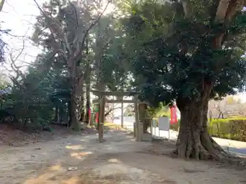 大蛇摩賀多神社(千葉県)