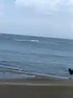 江島神社の景色