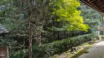 真珠庵(真珠菴)(京都府)