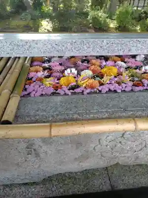 竹駒神社の{uncategorized: "未分類", other: "その他", undefined: "問題あり", building: "その他建物", grave: "お墓", sacred_gate: "鳥居", guardian: "狛犬", statue: "像", buddha: "仏像", history: "歴史", nature: "自然", garden: "庭園", animal: "動物", pagoda: "塔", temizu: "手水舎", mountain_gate: "山門・神門", sanctuary: "本殿・本堂", subordinate: "末社・摂社", art: "芸術", scenery: "景色", jizo: "地蔵", ema: "絵馬", goshuin: "御朱印", omikuji: "おみくじ", items: "授与品その他", amulet: "お守り", goshuincho: "御朱印帳", eats: "食事", festival: "お祭り", votive_dance: "神楽", shichigosan: "七五三参", wedding: "結婚式", experience: "体験その他", initially: "初詣", around: "周辺", anti_infection: "感染症対策"}