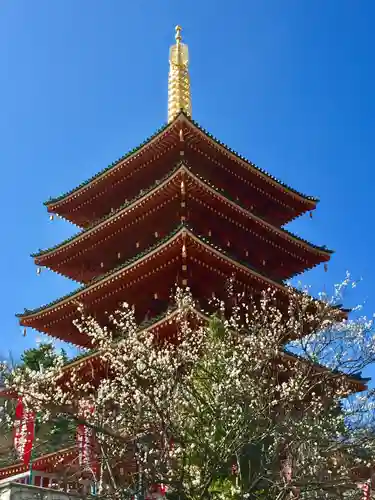 高幡不動尊　金剛寺の塔