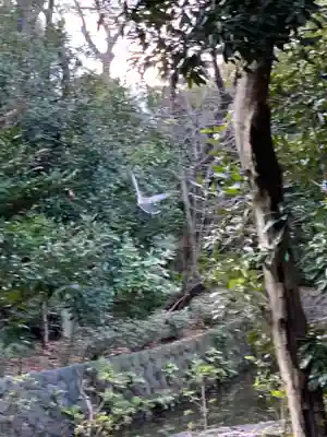 寒川神社のその他建物