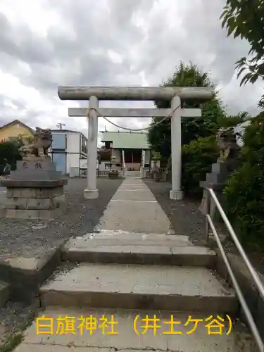 白幡神社(神奈川県)