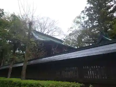 大井神社(静岡県)