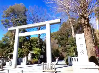 阿佐ヶ谷神明宮(東京都)