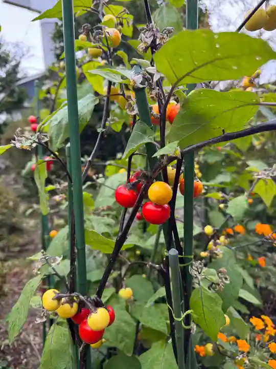 豊景神社(福島県)