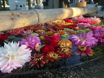 春日神社の手水舎