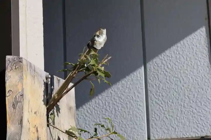 大鏑神社の体験その他