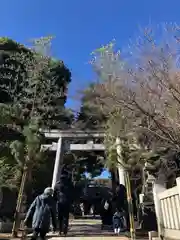 東村山八坂神社の鳥居