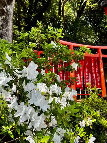 長山稲荷社（橿原神宮末社）(奈良県)