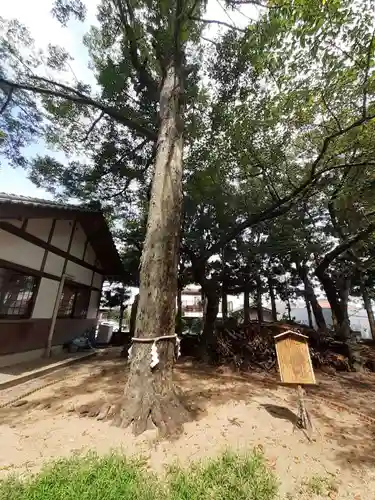 濱宮(和歌山県)