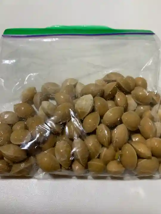 円通寺の授与品その他