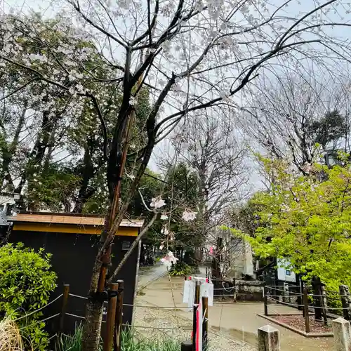 鳩森八幡神社の庭園