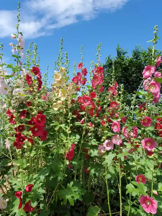 豊景神社(福島県)