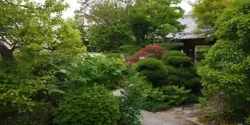霊源院(京都府)