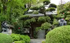 高蔵寺の山門