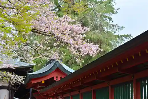 富士山本宮浅間大社(静岡県)