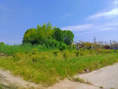 十二所社（野崎）の自然