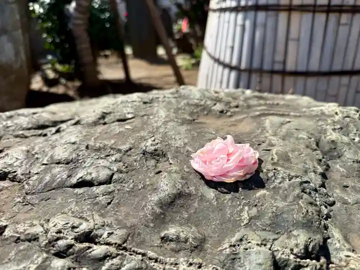 福王山 慈眼寺の自然