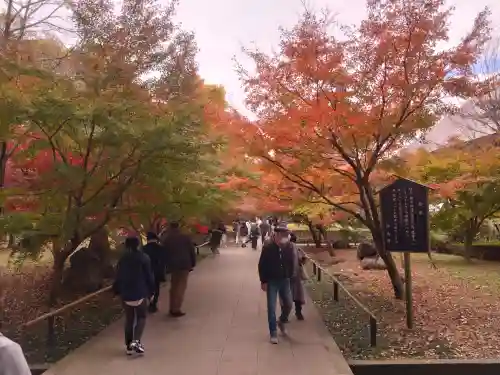 淨眞寺(東京都)