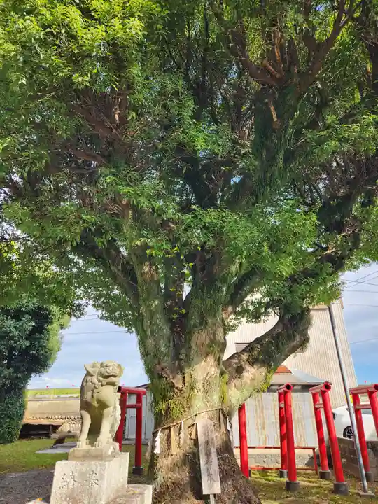 赤須賀神明社(三重県)