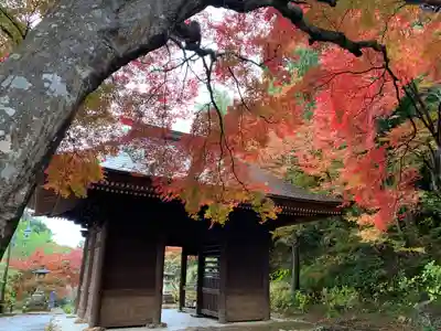 普門寺(切り絵御朱印発祥の寺)の山門・神門