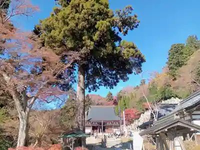 観音正寺(滋賀県)