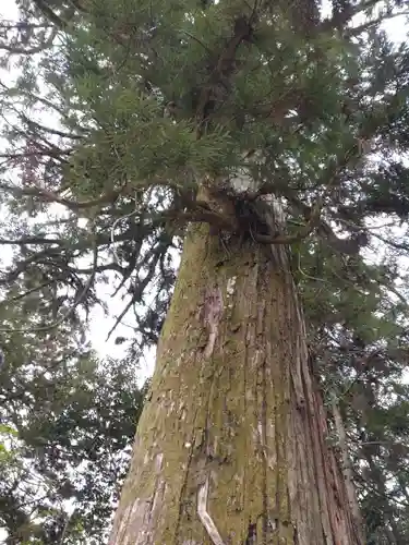 石山寺(滋賀県)