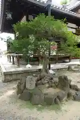 止止呂支比売命神社の自然