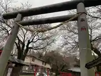 金井神社の鳥居